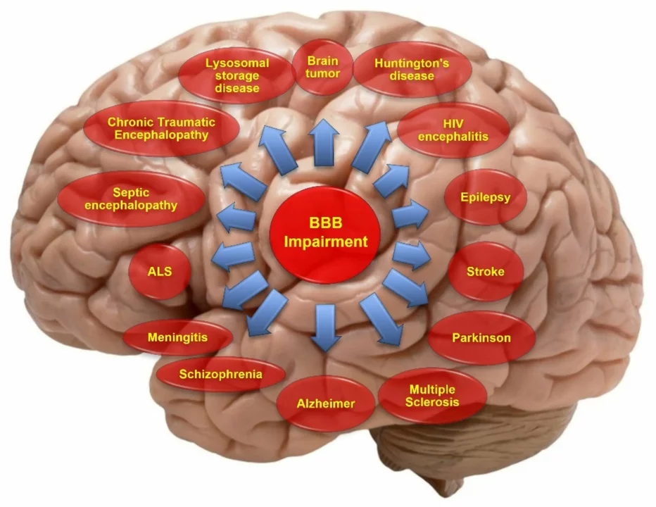 The Role of Atomoxetine in Reducing Impulsivity